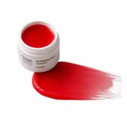 DERMOMEDICA Lip Sleeping Mask Raspberry 14 g